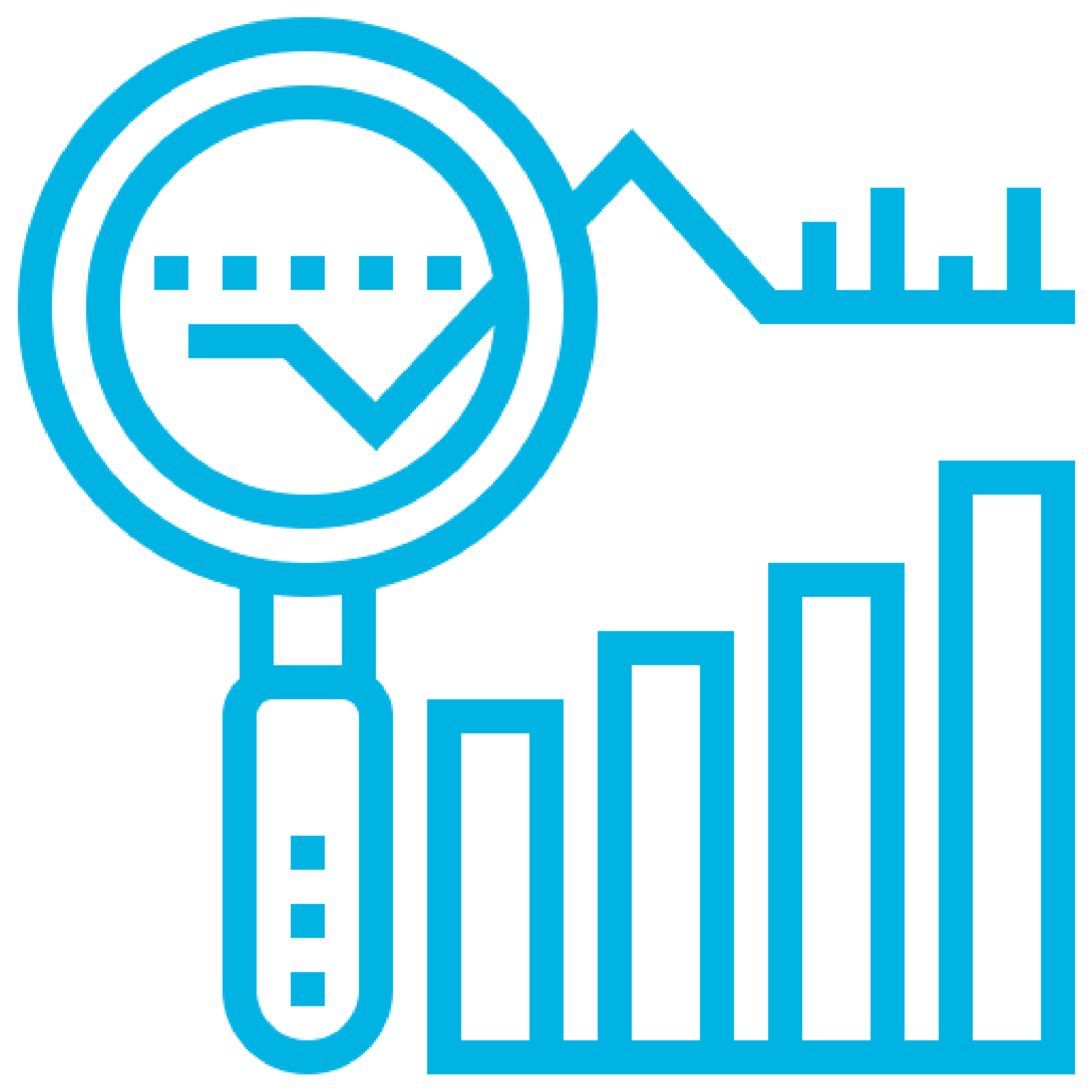 Icon showing graph and magnifying glass